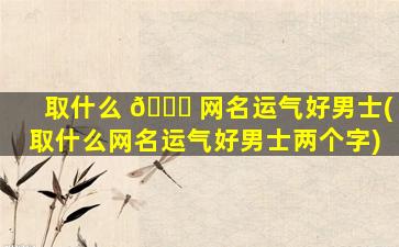 取什么 🐈 网名运气好男士(取什么网名运气好男士两个字)